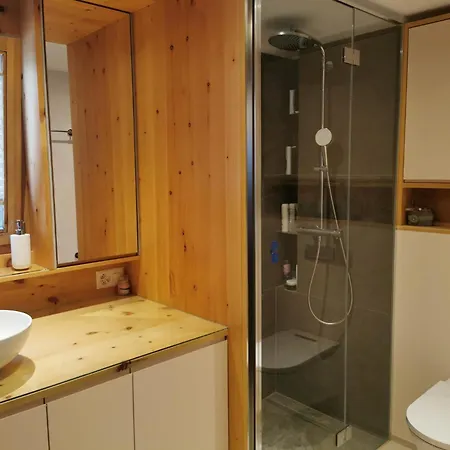 Apartment Wef 3.5 In Serneus *